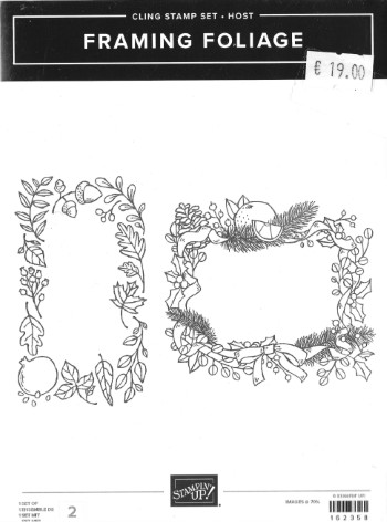 Stamp Set Framing Foliage (Cling)