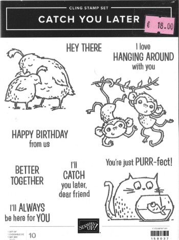Stamp Set Catch You Later (Cling)