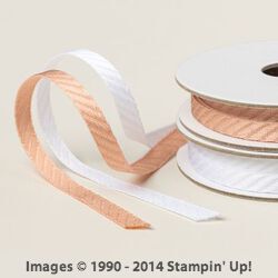 Linten Diagon Trim Combo Pack Petal Pink (6.4 mm) (aangebroken)