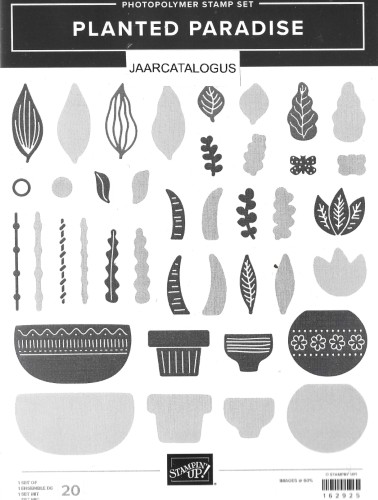 Stamp Set Planted Paradise