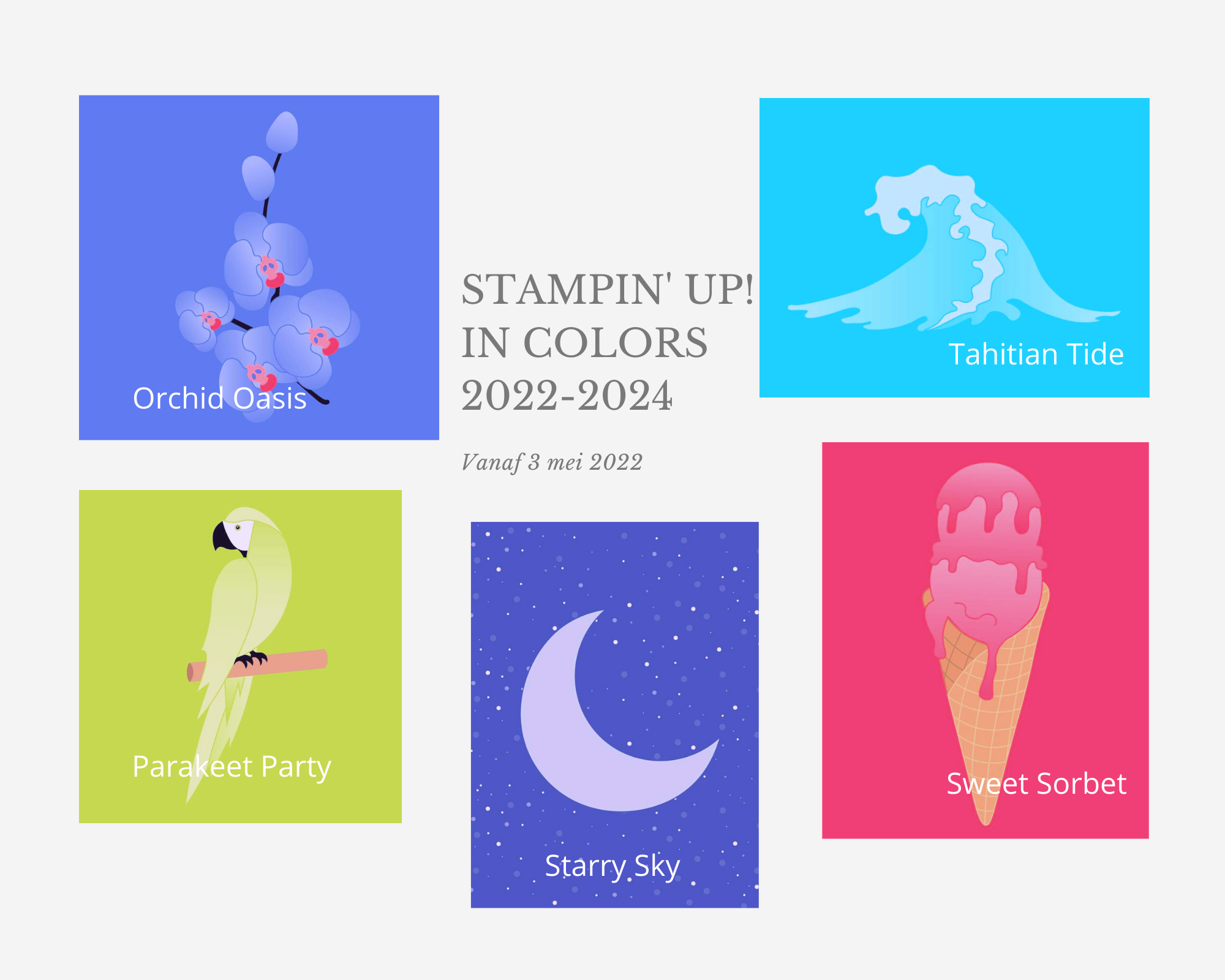 Nieuwe In Colors 20222024